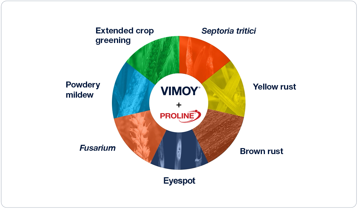 Ring showing the benefits of Vimoy + Proline. Protection against Septoria tritici, Yellow rust, Brown rust, Eyespot, Fusarium & Powdery mildew. As well as extending crop greening